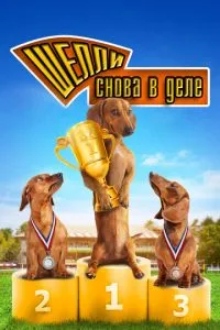 Шеллі знову у справі: Частина 1