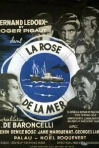 La rose de la mer