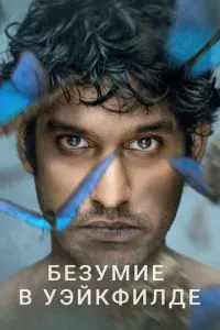 Безумство в Вейкфілді