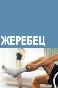 Жеребець