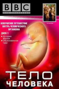 BBC: Тіло людини