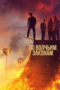 За вовчими законами