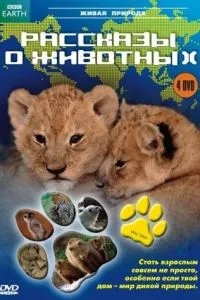 Розповіді про тварин