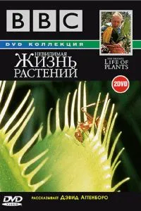 BBC: Невидиме життя рослин