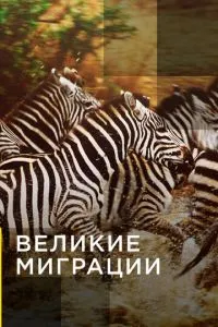Великі міграції