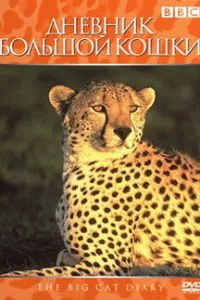 Щоденник великого кота